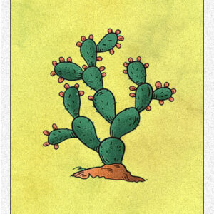 11. Cactus