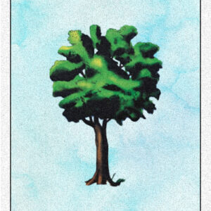12. Tree