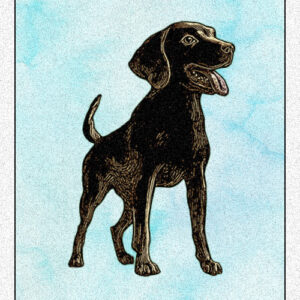 19. Dog