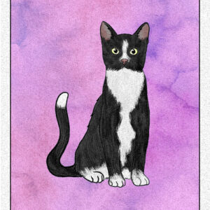 20. Cat