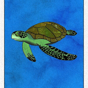 22. Turtle